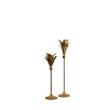 Citrus Royale Candlestick - Candle Holders - Rental