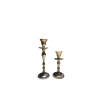 Ashford Botanical Vase - Decorative Vases - Rental
