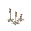 Oiseaux de Paradis - Dinner Plates - Shop